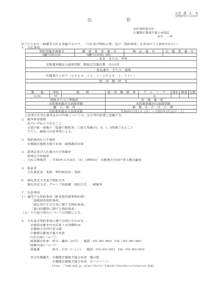 SVF for Java 打印